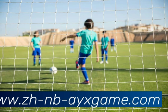 爱游戏APP 封面图